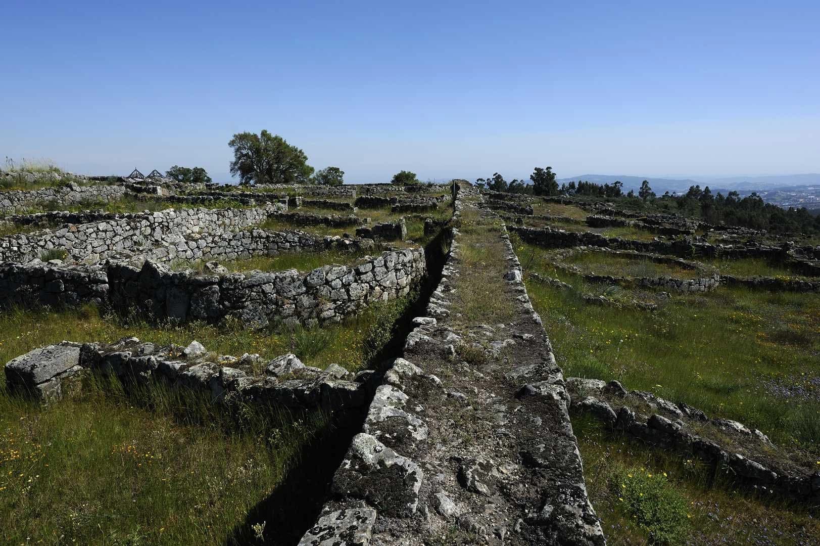 Citânia de Sanfins
